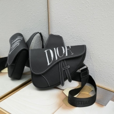 Dior Saddle Bags